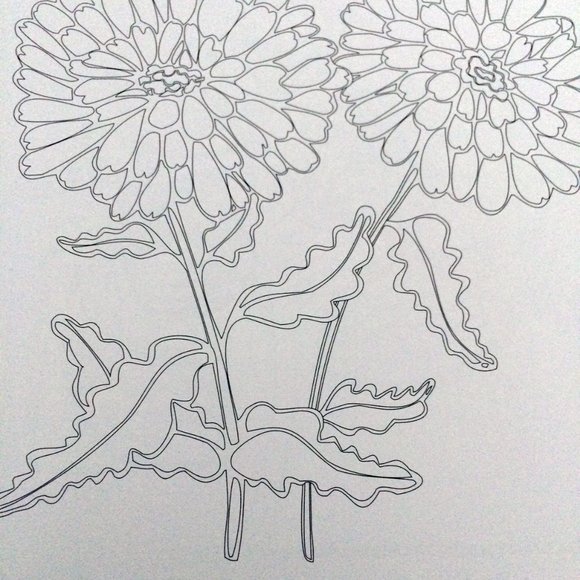 Therapy in Color - Coloring Book for Adults Multiple Subjects Like new - Picture 6 of 6